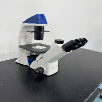 Fisherbrand Inverted Microscope image 0